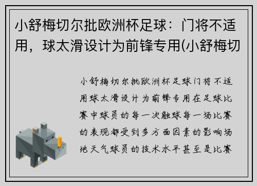 小舒梅切尔批欧洲杯足球：门将不适用，球太滑设计为前锋专用(小舒梅切尔厉害吗)