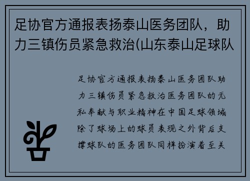 足协官方通报表扬泰山医务团队，助力三镇伤员紧急救治(山东泰山足球队人员名单)